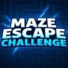 Maze Escape Challenge